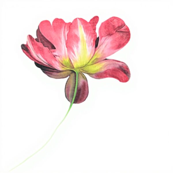 T-shirt Desigual Femme Imprimé Arty Manches Courtes Blanc