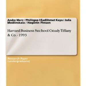 GRIN Verlag livre numérique anglais édition accessible-0