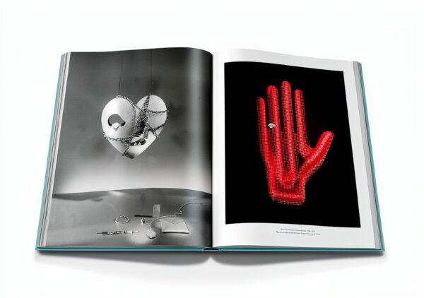 Assouline Livre Luxe Édition Limitée Collection Art Design-2