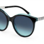 Tiffany Co Femme Bijou Argent Design Elegant Modele 0TF4175B-0