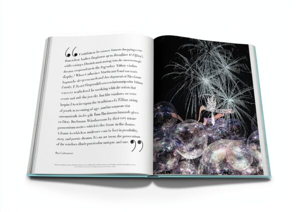 Assouline Livre Luxe Édition Limitée Collection Art Design-5