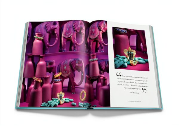 Assouline Livre Luxe Édition Limitée Collection Art Design-8