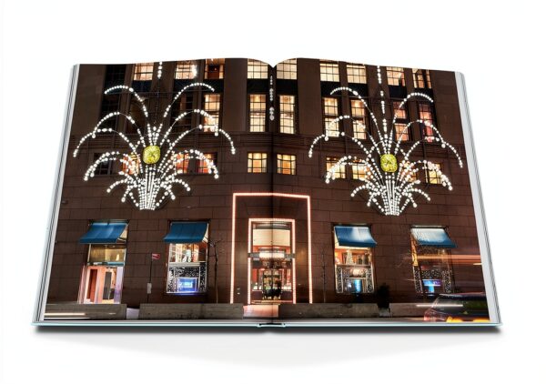 Assouline Livre Luxe Édition Limitée Collection Art Design-3