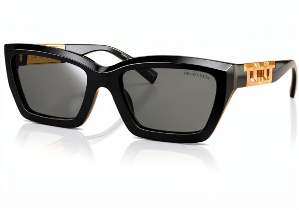 Lunettes Tiffany Co Noir Gris Ombré Femme Modèle TF 4213-0