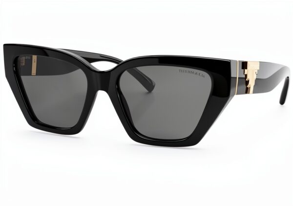 Lunettes Tiffany Co Noir Gris Polarise Femme-1